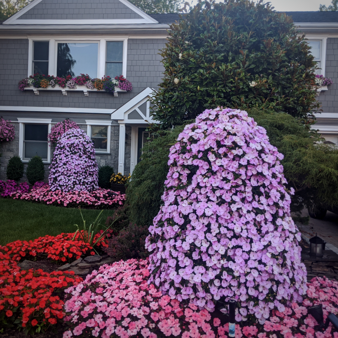 TWO Flower Towers - 2 Units – FlowertowerUSA
